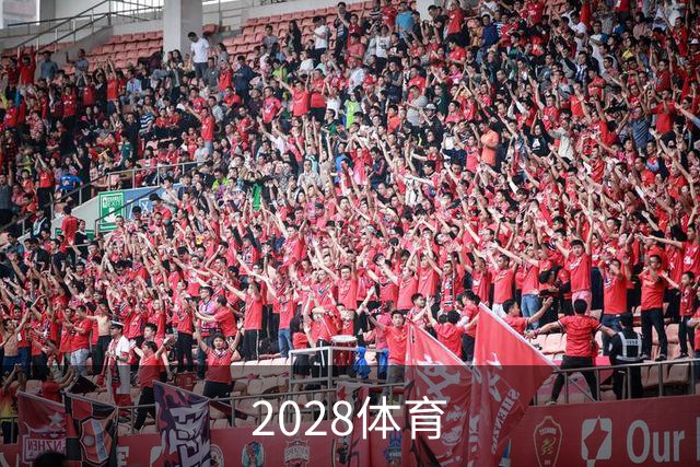 2028体育公司简介